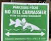 Tourism in Aude: the incredible success in Haute-Vallée for no-kill fishing routes