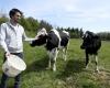 Anger of farmers: after “30 years of standing still” water reservoirs built in Haute-Garonne