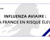 Avian influenza: France has been at high risk since November 9, 2024 – Avian influenza – Animals – State actions