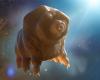 Chinese scientists have made an incredible discovery about tardigrades that could protect us in space