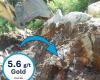 Gold fields in Beauce Bulk sample from Grondin outcrop Returns 5.6 g/t Gold