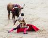 The ban on bullfighting for minors supported by an elected official from Lot-et-Garonne