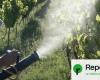 France sued for exporting banned pesticides