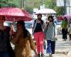 Bangalore Weather and AQI Today: Warm start at 19.82 °C, check weather forecast for November 14, 2024 | Bengaluru