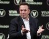 what position will Elon Musk occupy in government?