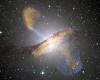 Unexpected discovery of a link between black hole jets and their host galaxies