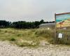 the scourge of theft of fences protecting the dune in this Loire-Atlantique resort