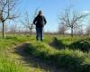 “Closer to self-destruct than to demonstrate”: the distress of a Dordogne farmer facing difficulties