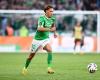 ASSE: Stassin deserted the Belgium Espoirs to join the A team