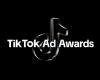 Tribal Morocco, only Moroccan agency shortlisted at the TikTok Ad Awards 2024