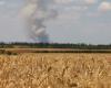 Satellite images reveal impact of war on Ukraine’s wheat production