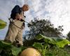 We drink pesticides and they take France to court