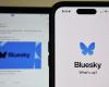 Social networks: Bluesky gains 1 million users in 24 hours, a sign of distrust towards Elon Musk's X – 11/15/2024 at 1:50 p.m.