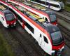 Bad weather drowns Stadler’s hopes of profitability