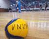 Women’s volleyball: to continue its epic journey in the European Cup, the VNVB is launching a call for donations