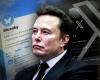 The X exodus – could Bluesky spike spark end of Elon Musk’s social media platform? | Science, Climate & Tech News