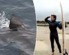 The invention of a “simple but very effective” solution to protect surfers from sharks