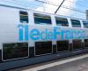 Nanterre: a 19-year-old young man is hit by an RER, an RATP agent is in police custody