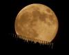 The super Beaver Moon will be the last of the year 2024, here's what its name means