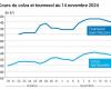 COTidienne | Oilseeds – Further drop in rapeseed prices following oilseed markets