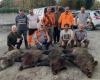 A 167 kg wild boar in Lot et Garonne