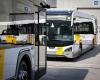 Shortage of drivers at De Lijn: the company reduces its offer in several regions