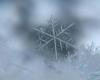 RTL Infos – Météolux: Snow starting next week in Luxembourg