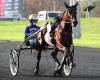 The Top 3 of Equidia journalists for the Prix de BretagneAmérique Races Q1 in Vincennes