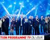 TV program: Starmania: the anniversary event, France / New Zealand… what to watch on TV this evening?