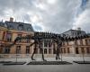 an apatosaurus, restored in the Luberon, sold for 6 million euros