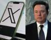 Elon Musk’s X collapses: hundreds of artists and media flee to a booming social network