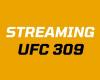 Streaming UFC 309: here’s how to easily watch the fights live