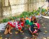 Paris Sausage Walk 2024: the dachshund walk returns to the capital this Sunday!