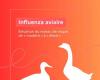 Increase in the level of avian influenza risk from “moderate” to “high” since November 9, 2024 across the entire national territory