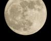 Super Beaver Moon: it was the last of the year 2024, from Rodez to Millau via New York, discover the splendid images