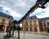 A giant dinosaur skeleton sold for 6 million euros