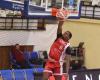 opposite the Portel, Cholet Basket wants to keep the Meilleraie impregnable