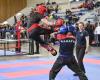 Karate: Gard and Nîmes, strongholds of the discipline which organize the Coupe de France