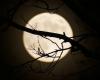 PHOTOS. The last “Super Moon” of the year lit up the sky, a striking spectacle in the night sky