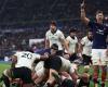 Rugby: the French XV offers a 3rd success in a row against the All Blacks