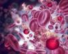 SARS-CoV-2 could help fight cancer