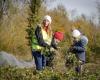 in Charente-Maritime, the success of participatory projects on farms