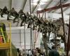 A giant dinosaur skeleton sold for 4.7 million euros