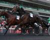 PMU – Arrival of the quinté on Sunday, November 17 at Paris-Vincennes: Hussard du Landret first qualified for America