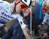 VIDEO. Thibau Nys crosses the finish line battered after colliding with a post in the ultimate final: “It was a serious blow”