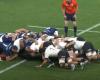 The Blues overthrow the All Blacks at the cost of a fierce revolt [vidéo] – Fifteen Oval