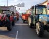 Agricultural crisis: new snail operations and field fires in Drôme-Ardèche Monday November 18