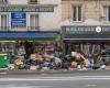 30,000 tonnes of litter are collected each year from the streets of Paris