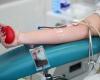 Blood donation: two streamers ready to break the world donation record