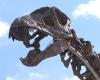 A collector pays a huge sum to buy the skeleton of the largest dinosaur ever put up for auction in France